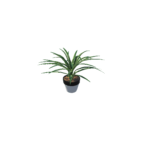 Plant 7